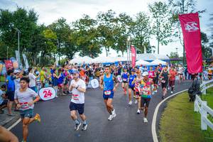 BIB: 
                            <button type="button" onclick="openModal(26550219)" class="btn btn-primary btn-sm float-right btn-popup" data-toggle="modal" data-target=".modal-high-quality">
                        <i class="fas fa-shopping-cart"></i> Add to Cart
                    </button>
                                            <button type="button" onclick="isThisMe(26550219, true)" class="btn btn-success btn-sm float-right btn-popup btn-isme hidden" data-toggle="tooltip" data-placement="bottom" title="นี่คือรูปของคุณใช่ไหม คลิกที่นี่เพื่อเอาเข้าอัลบั้ม">
                        <i class="fas fa-plus"></i> Add to album
                    </button>
                    <button type="button" onclick="isThisMe(26550219, false)" class="btn btn-warning btn-sm float-right btn-popup btn-isnotme hidden">
                        <i class="fas fa-ban"></i> Remove from album
                    </button>